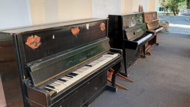 В одному з парків Дніпра виявили цвинтар потрощених піаніно (Фото)