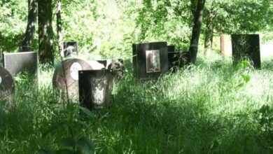 У Дніпрі знищили кладовище домашніх тварин (Відео)