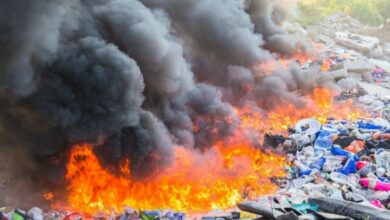 У місті на Дніпропетровщині довелося придбати майже 250 нових сміттєвих баків через постійні підпали