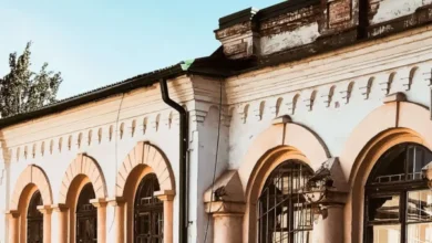 У Дніпрі талановита ілюстраторка створює унікальні вінтажні фото архітектури (Фото)