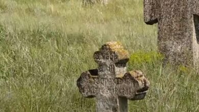 У селі на Дніпропетровщині зберігся унікальний козацький цвинтар з хрестами, яким майже 250 років (Відео)