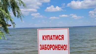 У місті на Дніпропетровщині водойма на пляжі вкрилася білою пліснявою (Відео)