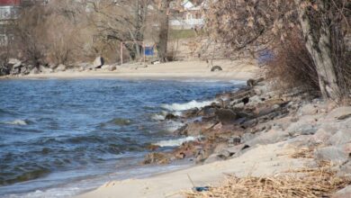 На Дніпропетровщині показали, що залишилося від Нікопольського моря, яке знищив підрив Каховської ГЕС (Відео)