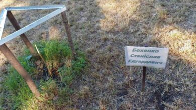 У місті на Дніпропетровщині вандали знищили дерева, які діти висадили на честь загиблих Героїв