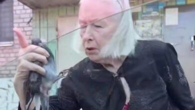 У місті на Дніпропетровщині бабуся намагалася проїхати в таксі з голубом, якого впіймала на вулиці (Відео)
