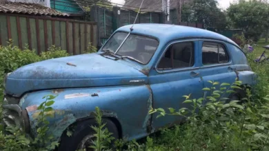 В селі на Закарпатті знайшли кладовище радянських автомобілів (Відео)