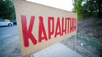 На Дніпропетровщині через скажену кішку закрили на карантин все село