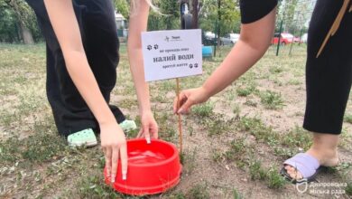 У Дніпрі діти встановили по всьому місту поїлки для безпритульних тварин (Фото)
