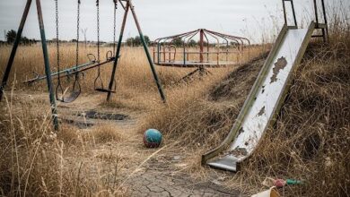 У місті на Дніпропетровщині показали закинутий дитячий майданчик з фільму жахів (Фото)