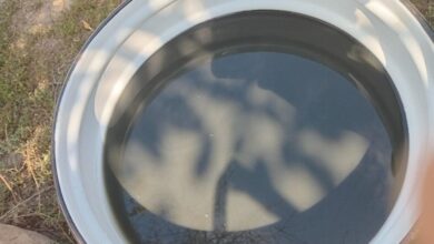 У селі на Дніпропетровщині мешканцям подають воду з болота (Фото та відео)