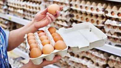 У Франції злякалися курячих яєць з України та вимагають повернути їх назад