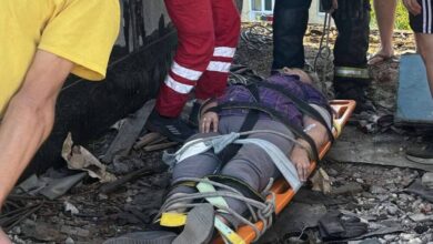 На Дніпропетровщині ДСНС та медики показали, як рятували 74-річну пенсіонерку, що залізла на дах і травмувалася (Фото)
