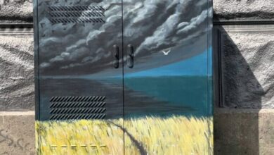 У Дніпрі на електрощитках з'явилися нові малюнки художниці стрит-арту (Фото)
