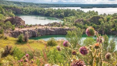 На Дніпропетровщині існує таємнича балка без назви