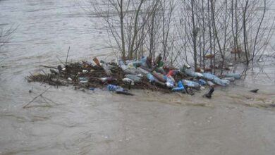 У Дніпрі потоп на вулиці вимив сміття з переповнених баків (Відео)
