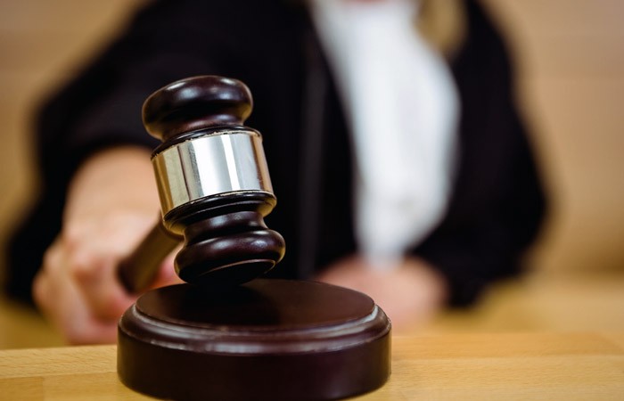 У селі на Дніпропетровщині жінка відсудила 30 000 гривень у власників алабая, який покусав її