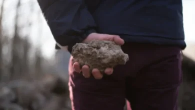 На Дніпропетровщині діти кидалися камінням у безпритульну жінку (Відео)