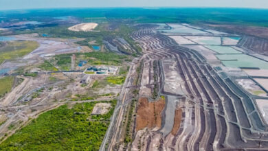 У Кривому Розі засіють житом 75 гектарів сховища, в якому зберігаються токсичні відходи