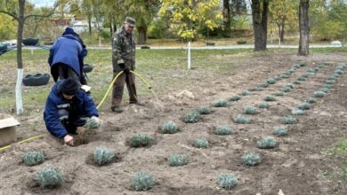 У Дніпрі з'явилося місце, де можна проводити "квіткові" фотосесії (Фото)