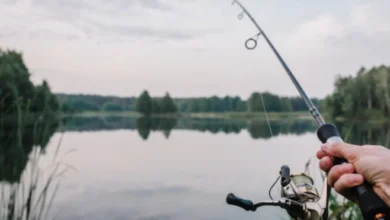 У Кривому Розі рибалка упіймав 3-кілограмову червонокнижну рибу (Відео)
