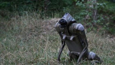 Ілон Маск планує створити армію людиноподібних роботів: чим це загрожує світу