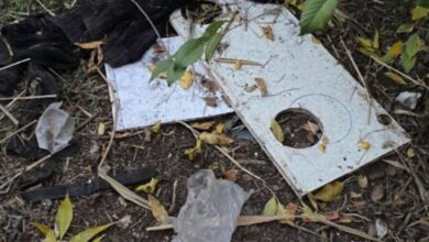 У Кривому Розі живодери вбили дворового кота і зруйнували його будиночок (Фото)