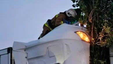 У Кривому Розі водій Toyota на швидкості влетів у дерево: що сталося (Відео)