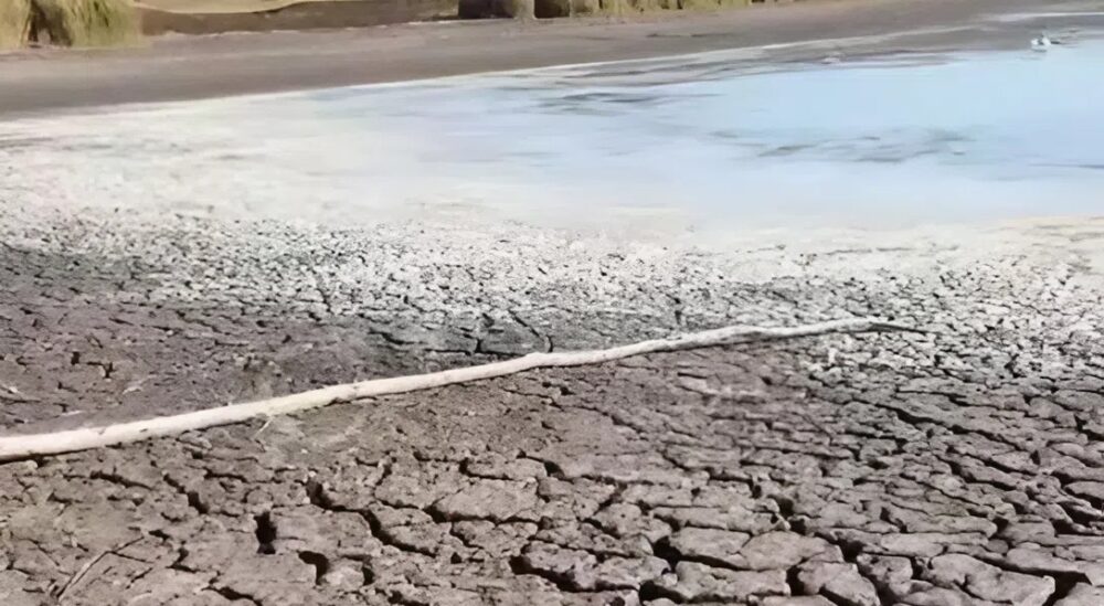 На Дніпропетровщині повністю висох черговий ставок (Фото)