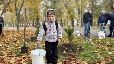 У Дніпрі в центральному парку висадили галявину новорічних дерев (Фото)