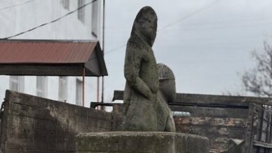 З Петропавлівки до Дніпра військові евакуювали з-під російських обстрілів двох тисячорічних половецьких баб (Фото)