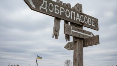 З розбитого росіянами села на Дніпропетровщині евакуювали останню мешканку (Відео)