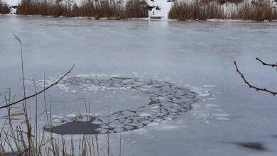 У Кривому Розі шукають двох рибалок, які могли втонути (Фото)