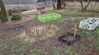 У місті на Дніпропетровщині у сосновому лісі знайшли кладовище домашніх тварин (Фото)