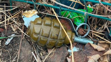 У Дніпрі жінка виявила біля багатоповерхівки предмет, схожий на гранату: місце знахідки перекрили (Відео)