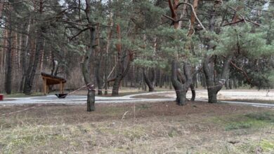 У місті на Дніпропетровщині неподалік житлового кварталу зведуть велику зону відпочинку (Фото)