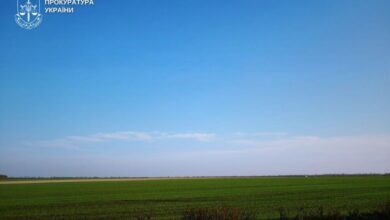 На Дніпропетровщині повернули громаді сільськогосподарські землі, які вкрали у приватну власність (Фото)