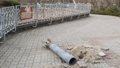 Російські окупанти скинули КАБ на екопарк Харкова: загинули елітні птахи