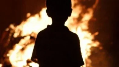 На Житомирщині в пожежі трагічно загинули матір і двоє дітей: жінка встигла врятувати найменшого сина (Фото)