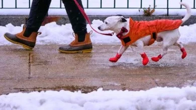 В Україну повертається тепло, але радіти зарано