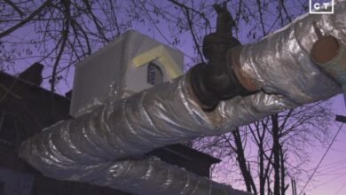 У Дніпрі на теплотрасі облаштували пункт обігріву для безпритульних котів (Фото)