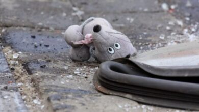 На Дніпропетровщині внаслідок ДТП постраждав 6-річний хлопчик (Відео)