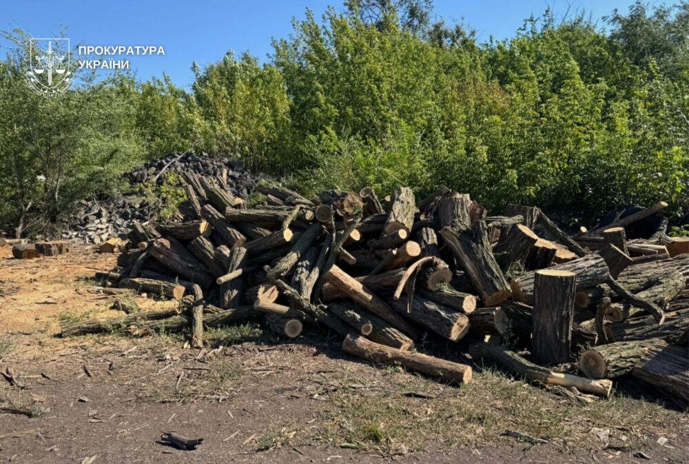 На Дніпропетровщині підприємець упродовж року незаконно вирубував ліс і заробив 21 млн грн (Фото)