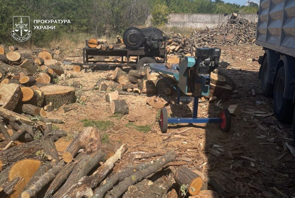 На Дніпропетровщині підприємець упродовж року незаконно вирубував ліс і заробив 21 млн грн (Фото)