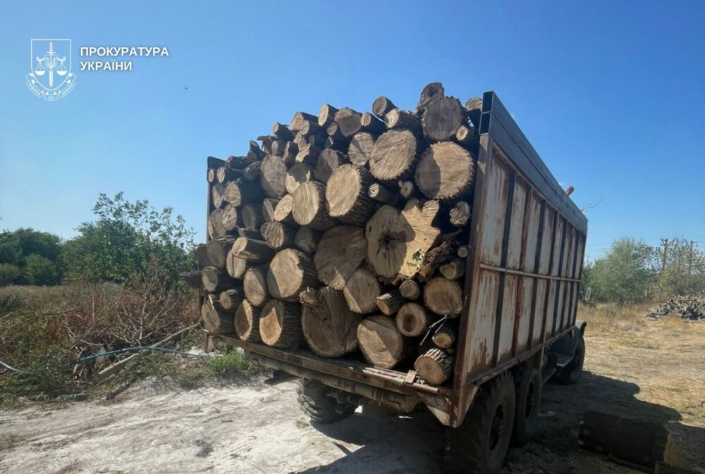 На Дніпропетровщині підприємець упродовж року незаконно вирубував ліс і заробив 21 млн грн (Фото)