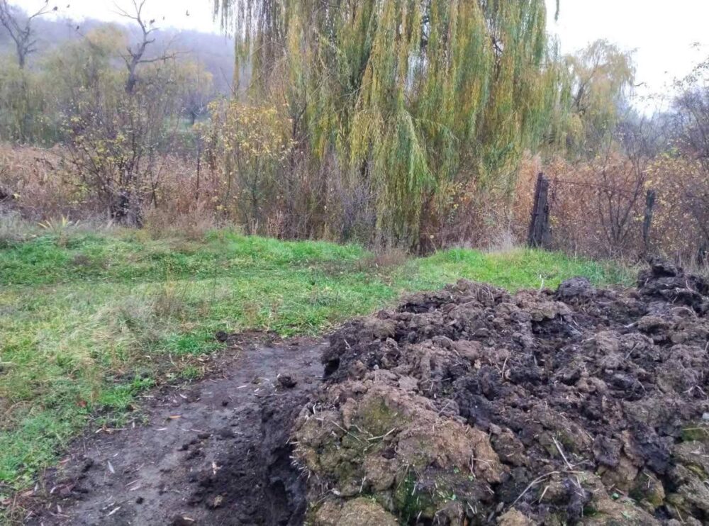 На Дніпропетровщині невідомі труїли мешканців купою гною, яка завдала екологічних збитків на 6 млн грн (Фото)