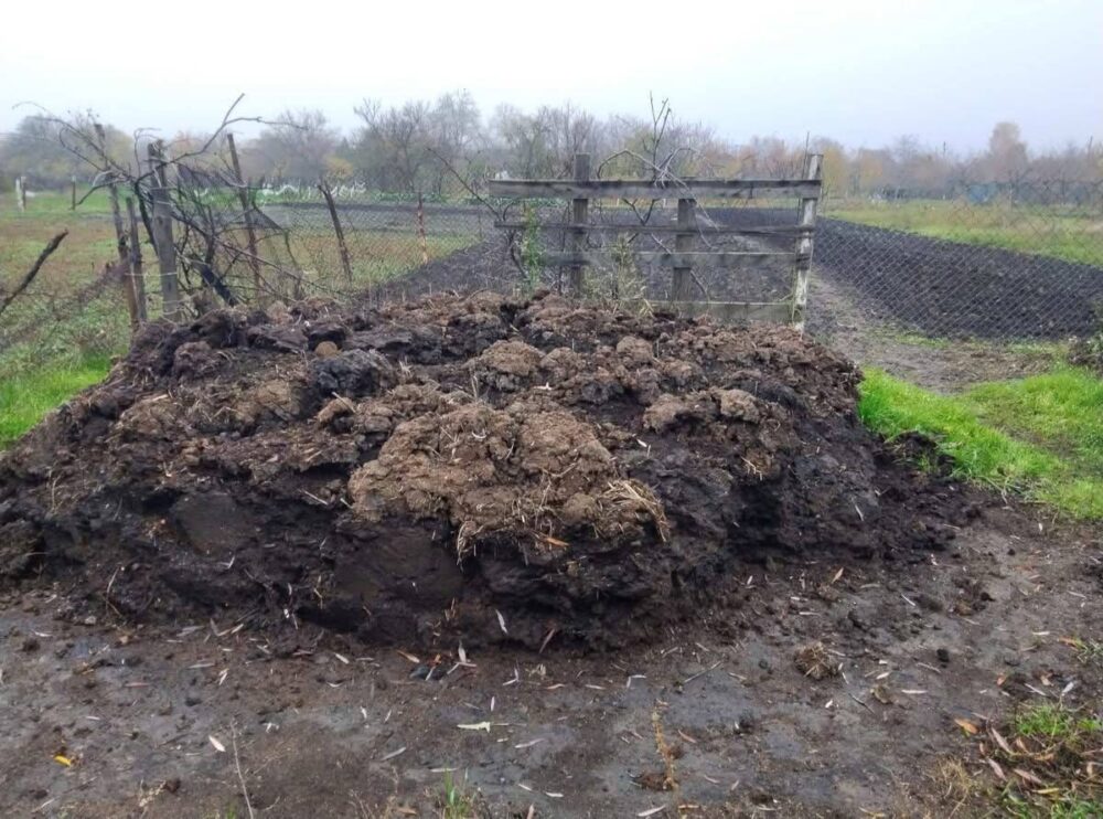 На Дніпропетровщині невідомі труїли мешканців купою гною, яка завдала екологічних збитків на 6 млн грн (Фото)