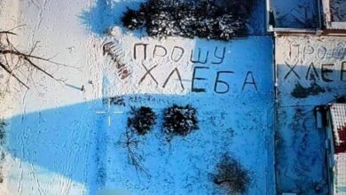 На Донеччині українські військові скинули бабусі хліб з дрона (Відео)