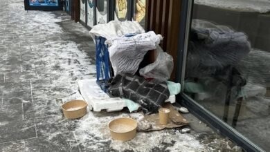 У Дніпрі біля кав'ярні облаштували будиночок для безпритульних тварин (Фото)