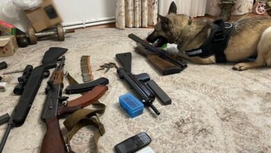Мешканці Дніпропетровщини організували масштабну торгівлю зброєю по всій Україні: їх затримували з кінологами і вибухотехніками (Відео)