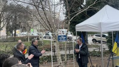 У Франції відкрили велику площу імені Лесі Українки (Фото)